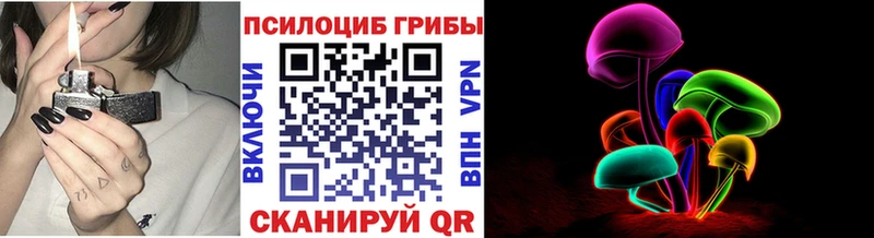 где продают   МЕГА tor  Галлюциногенные грибы Cubensis  Миньяр 